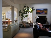 Contemporary Interiors