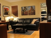 Contemporary Interiors